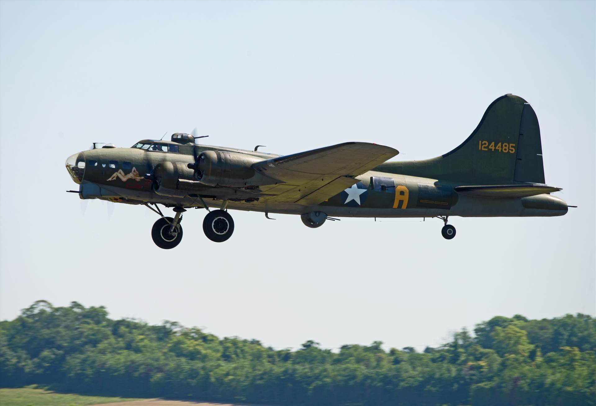 resized_d3511163-99e1-4891-86fb-f4479dc9