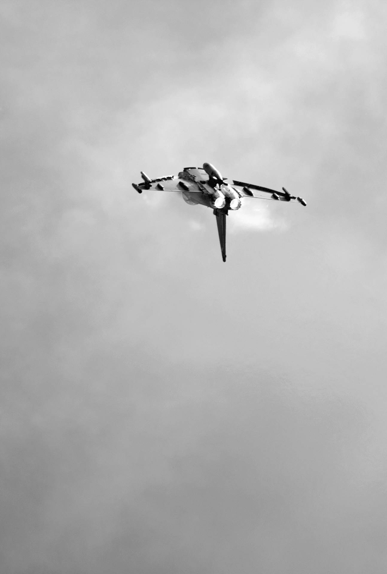 resized_d7c152f4-747a-4d0d-8ddf-e3e56f62