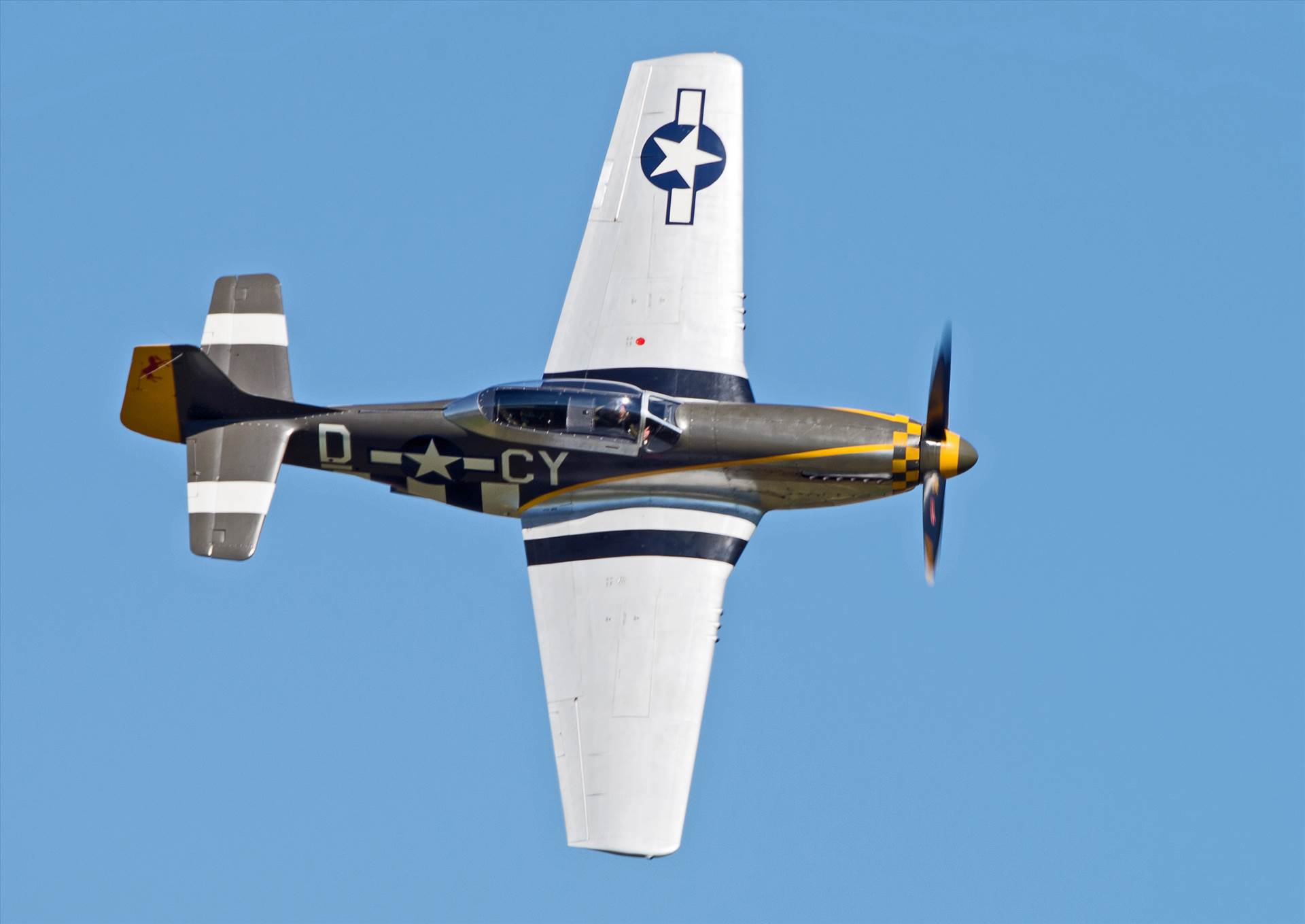 resized_e2ef10c8-50c5-4ee4-94fa-26db8191