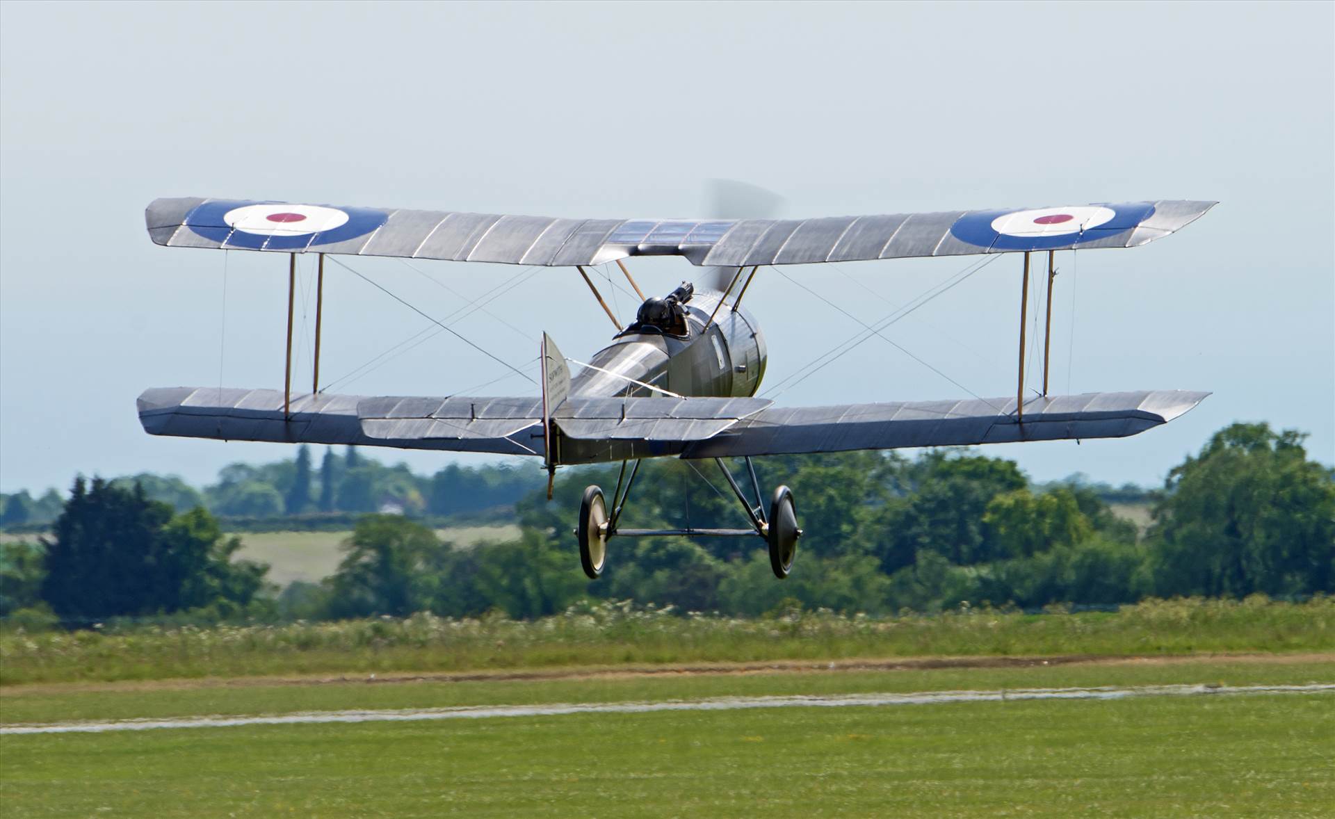 resized_e91efb65-065d-43e1-aa57-34e88754