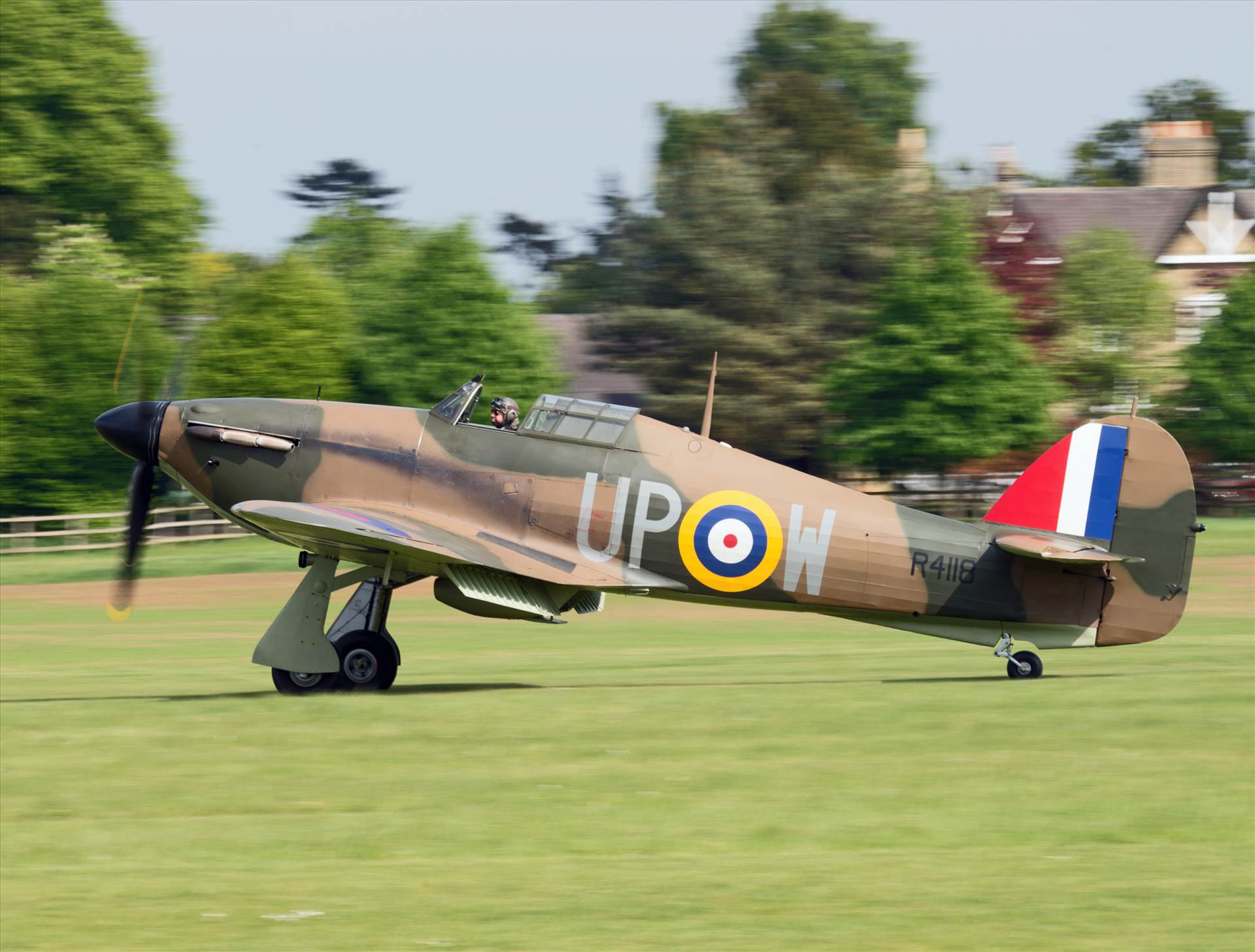 resized_e970ffbf-6426-4140-b80d-5b0f79ad