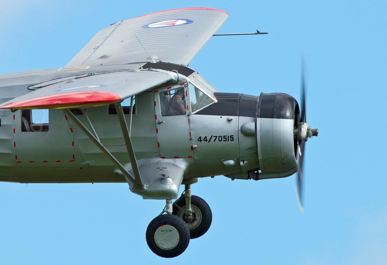 resized_ef9e25af-8cf8-4aa2-9488-6ffb3934