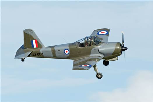 tn_098d7355-596d-4a9c-a088-65a6e44e3ec3.