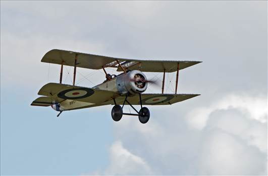 tn_1a0102e9-ea17-41ef-a297-f13aa6fb5c54.