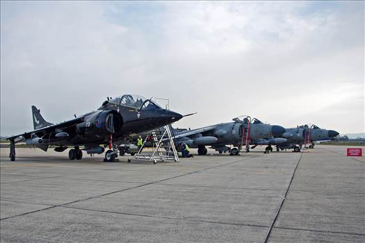 tn_1b11e23f-27b9-4f6a-a75e-72ccd8c5f809.