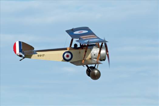 tn_39ae4409-18b2-425d-abac-6c2cd53012d8.