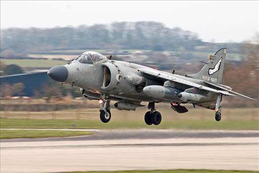 tn_4216c7e8-89d8-4009-8c53-f390a6b7e741.