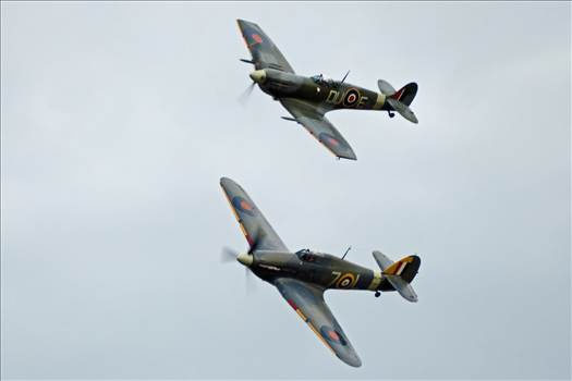 tn_d1f718ee-c0fe-4600-a531-c007d1299b00.