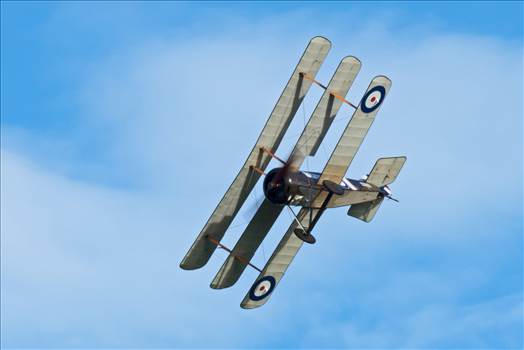 tn_db14f0fd-93cd-4047-8a17-99c6626eeb19.