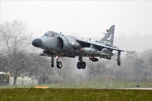 tn_fc332771-d3c8-49e5-9087-44d1bf714661.