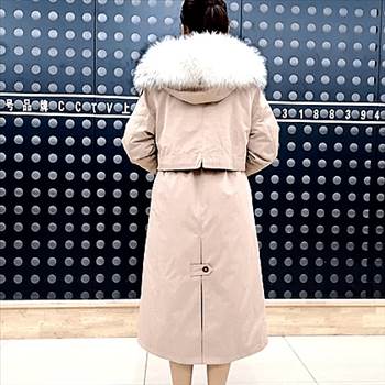 Women Winter Jacket by jeffwillow