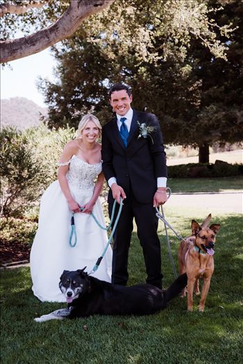 Dogs-7197.jpg by The Burgers