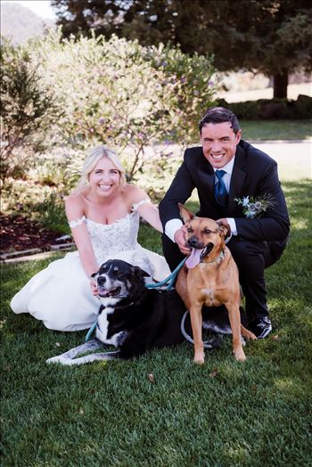 Dogs-7218.jpg by The Burgers