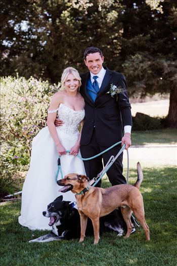 Dogs-6447.jpg by The Burgers