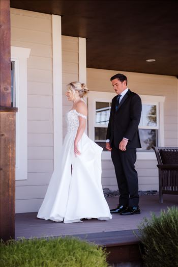 First Look-7147.jpg by The Burgers