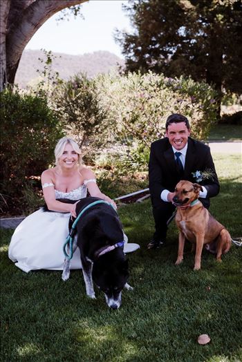 Dogs-7170.jpg by The Burgers