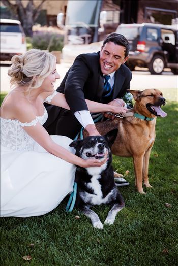 Dogs-7229.jpg by The Burgers