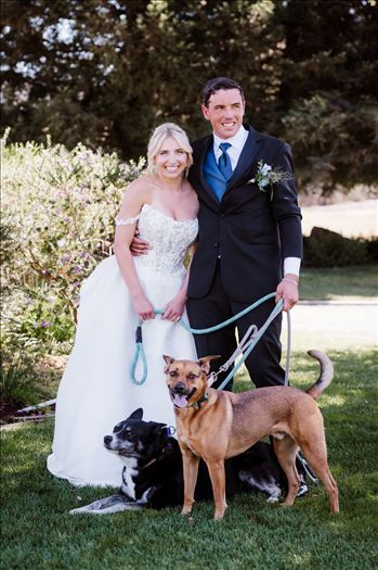Dogs-6450.jpg by The Burgers