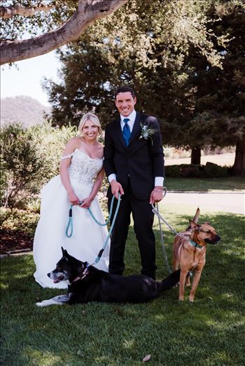 Dogs-7188.jpg by The Burgers