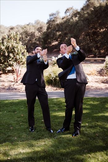 Posed-7645.jpg by The Burgers