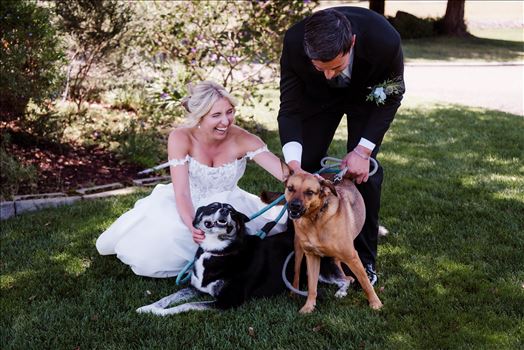 Dogs-7207.jpg by The Burgers