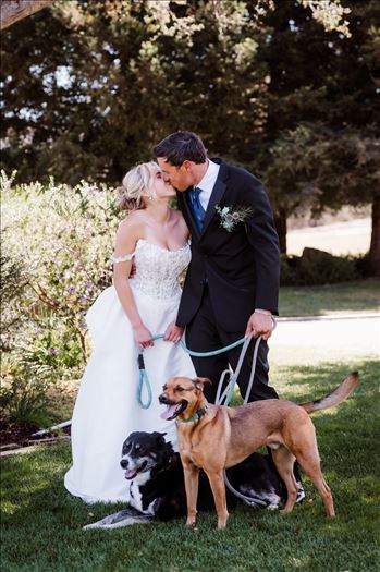 Dogs-6454.jpg by The Burgers