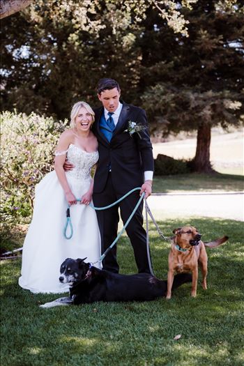 Dogs-6435.jpg by The Burgers