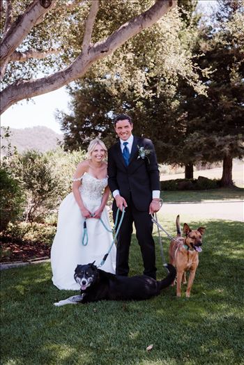 Dogs-7195.jpg by The Burgers