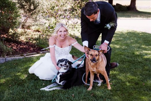 Dogs-7208.jpg by The Burgers
