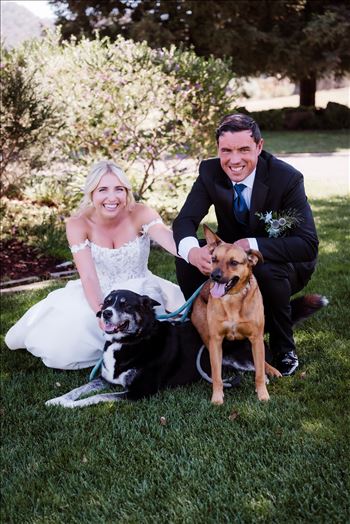 Dogs-7217.jpg by The Burgers