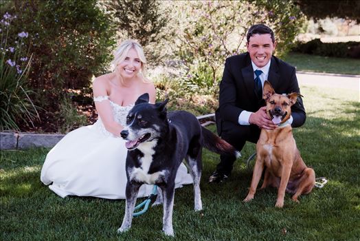 Dogs-7178.jpg by The Burgers