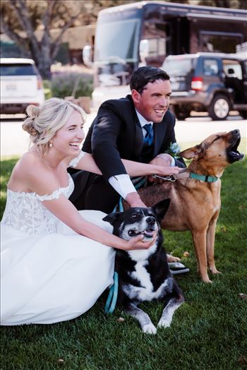 Dogs-7224.jpg by The Burgers