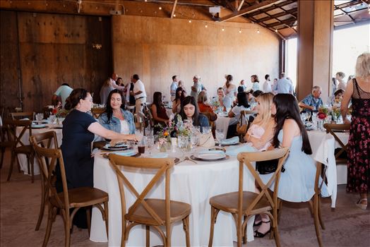 Reception-7706.jpg by The Burgers