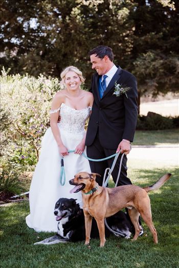 Dogs-6456.jpg by The Burgers