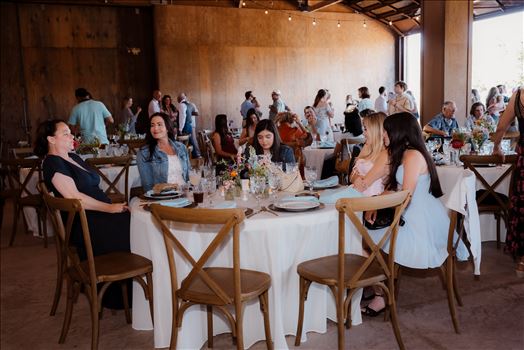 Reception-7707.jpg by The Burgers