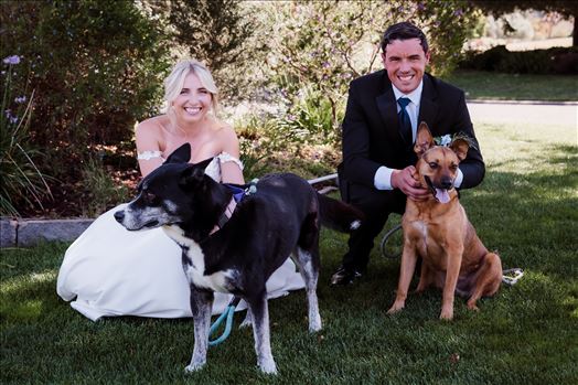 Dogs-7173.jpg by The Burgers