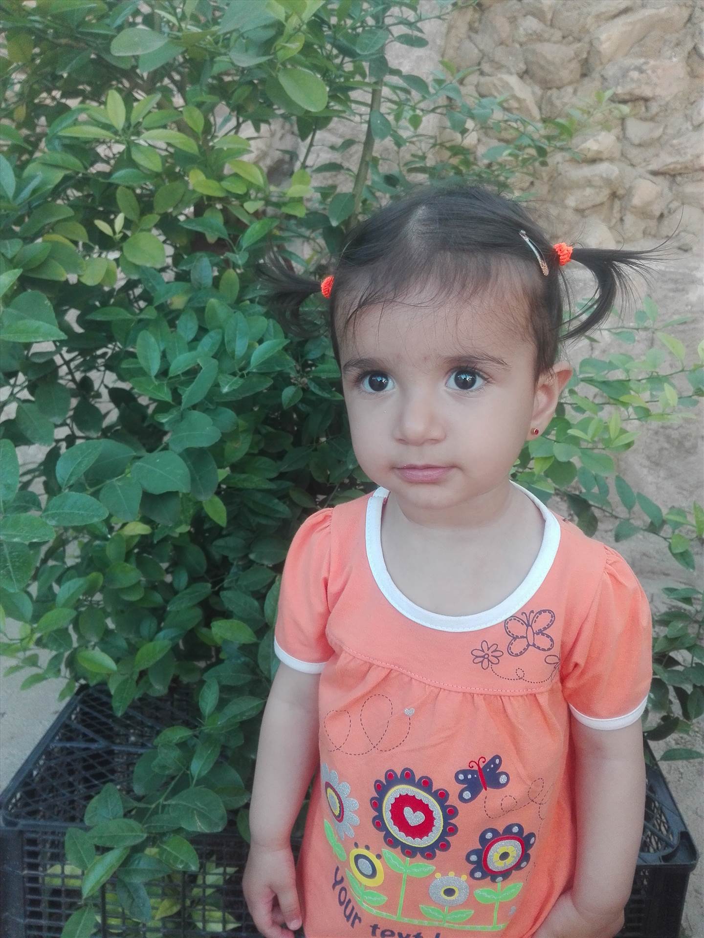 IMG_20190411_175943.jpg هستی by Hojat