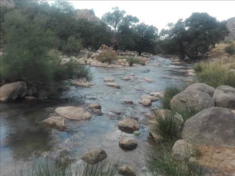 IMG_20190607_135920.jpg - هررز، نورآباد، فارس