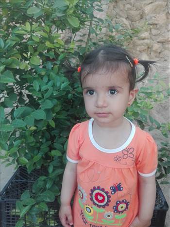 IMG_20190411_175943.jpg - هستی