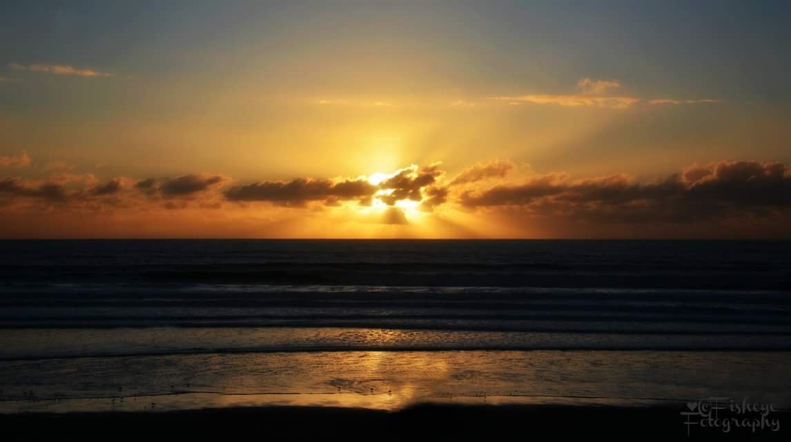 FB_IMG_1450225442094.jpg  by Leigh Ann