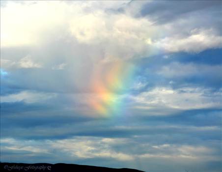 Rainbow1001a.jpg by Leigh Ann