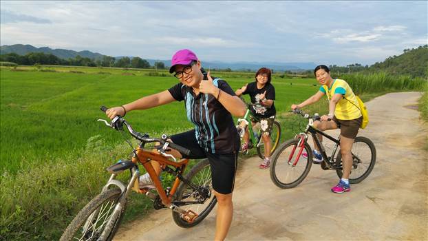 Want to explore the beautiful landscape of Vietnam a bit differently? Then we at cattienjunglelodge can arrange that for you. Indulge in Vietnam cycling tours that will take you to the country side of Vietnam.  Visit : https://cattienjunglelodge.com
