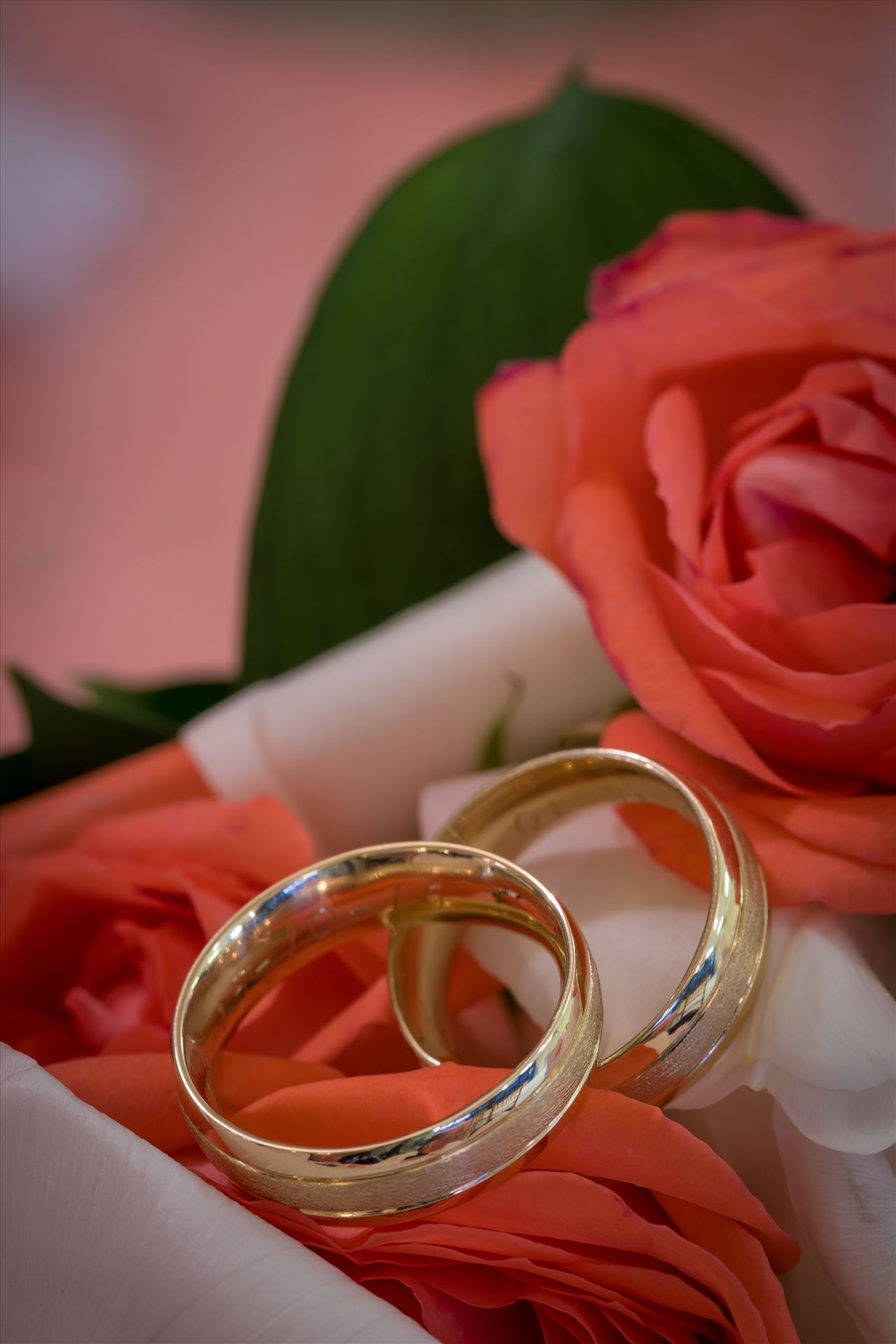 9Y9A3532.jpg  by Heart to Heart Photography