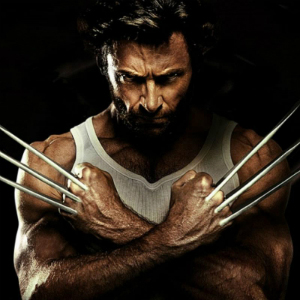 Wolverine Avatar