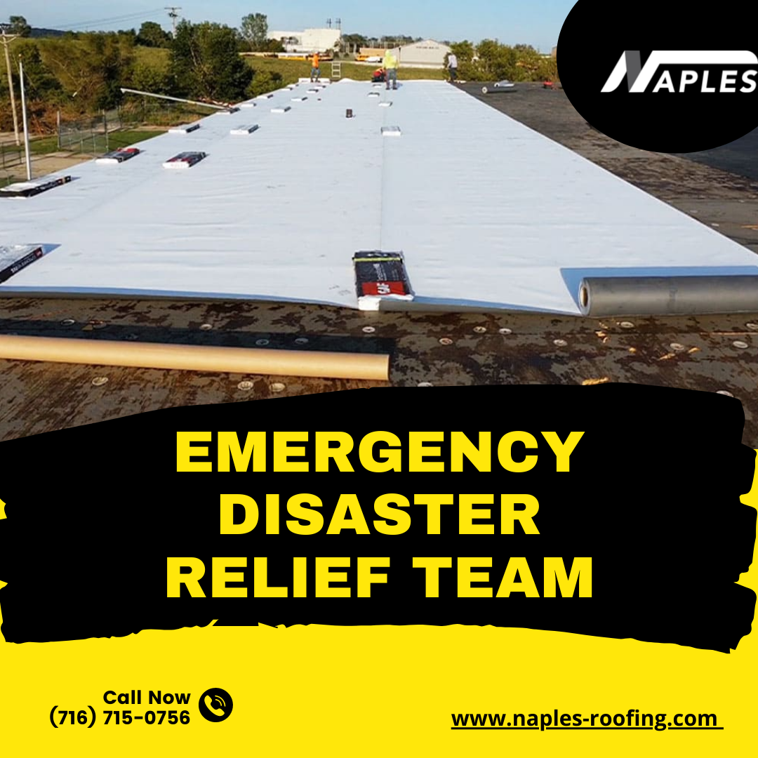 emergency disaster relief team.png  by naplesroofing