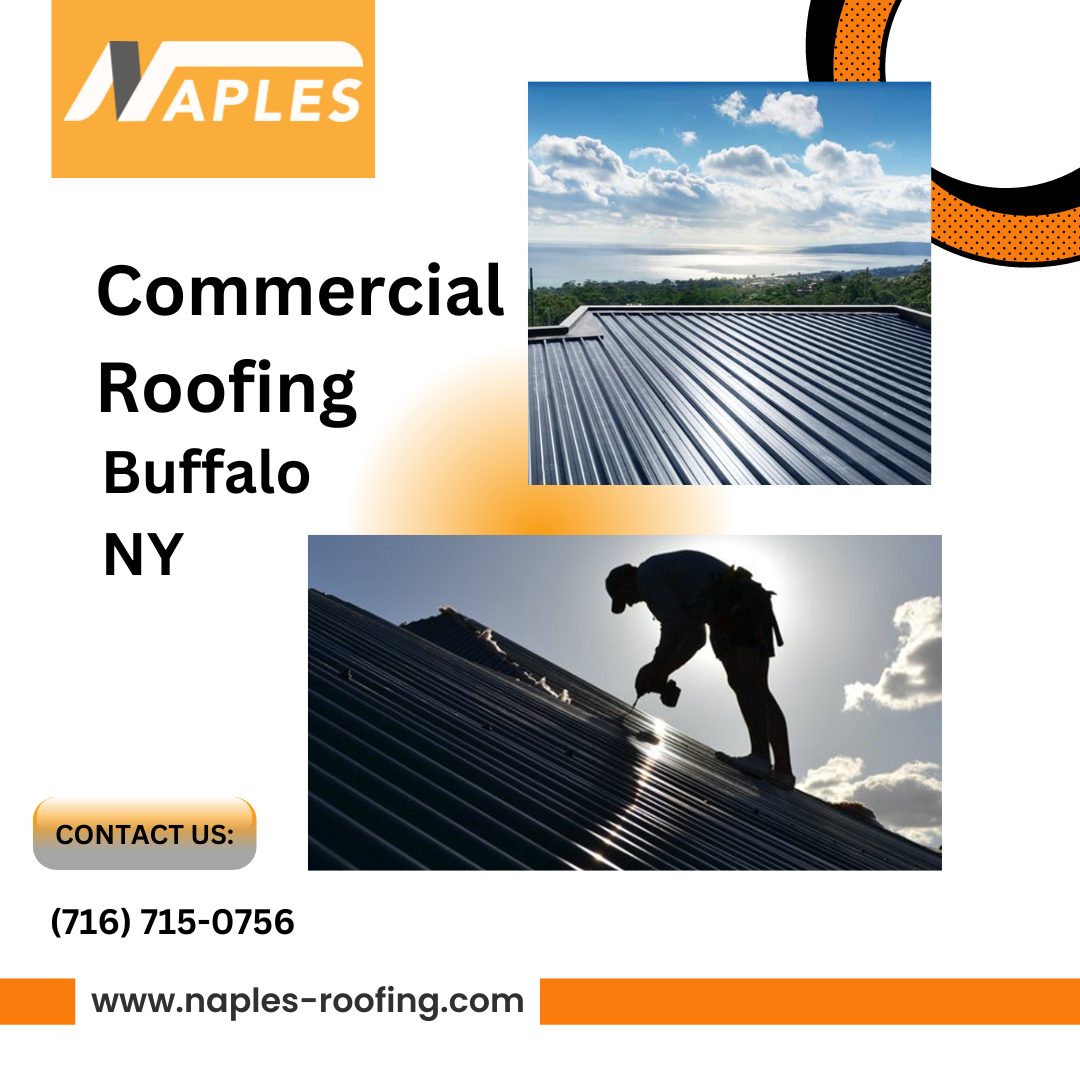 www.naples-roofing.com.png  by naplesroofing