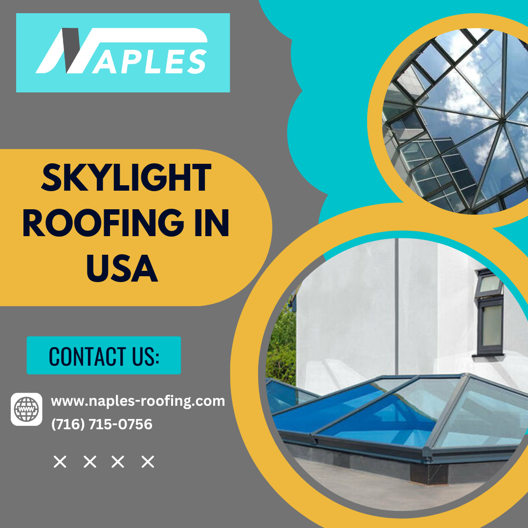 Skylight Roofing in USA.png  by naplesroofing