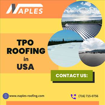 TPO Roofing in USA.png by naplesroofing