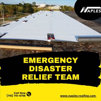 emergency disaster relief team.png by naplesroofing