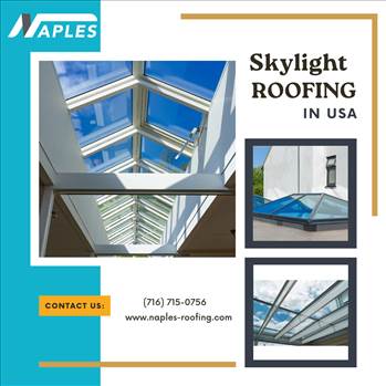 Skylight.png by naplesroofing